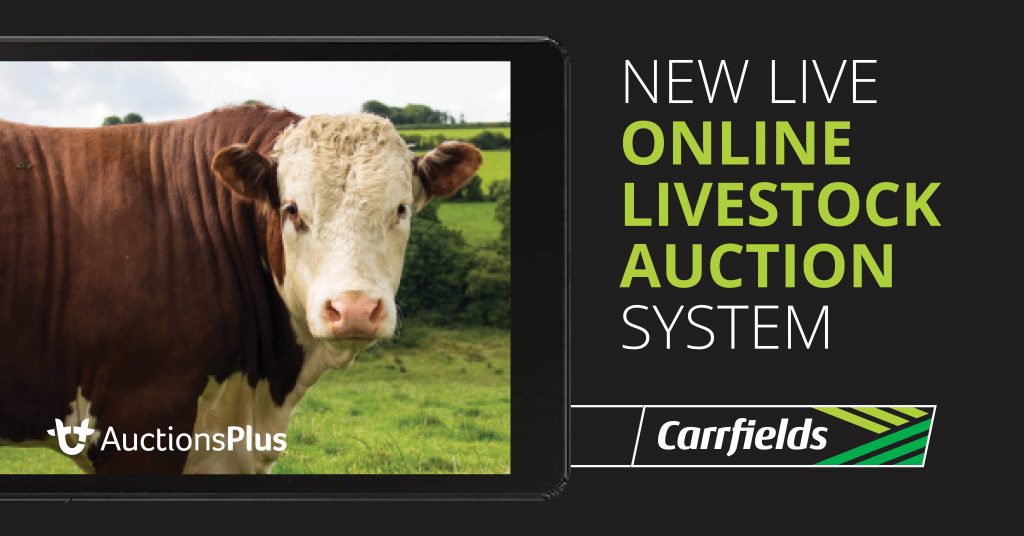 Carrfields Stud Stock - Carrfields - Your trusted partner